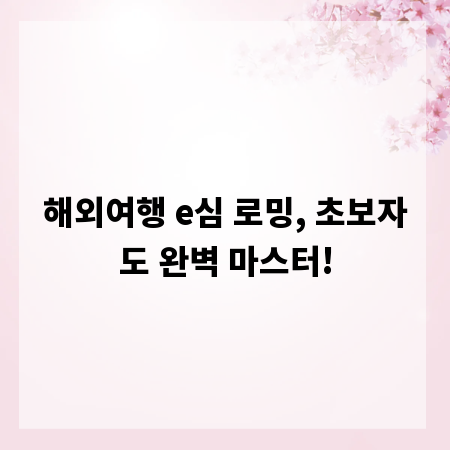 해외여행 e심 로밍, 초보자도 완벽 마스터!