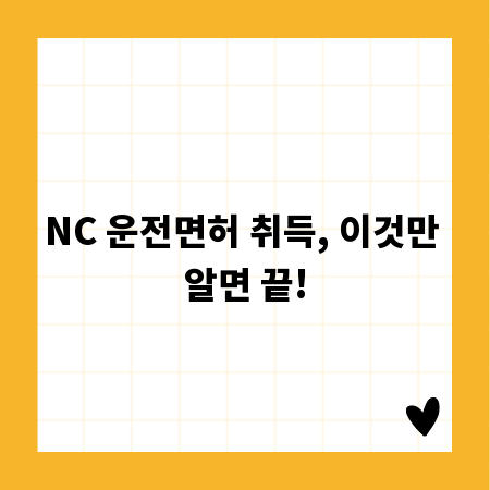 NC 운전면허 취득, 이것만 알면 끝!