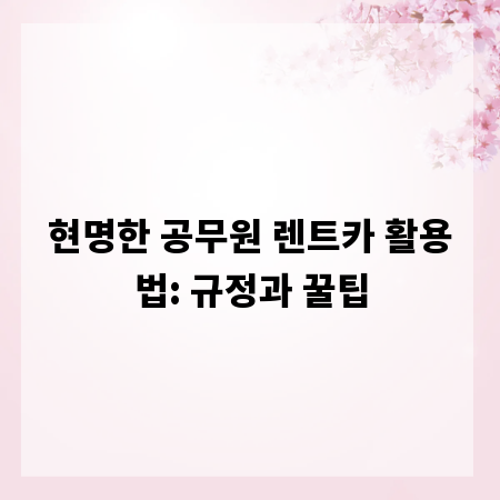 현명한 공무원 렌트카 활용법: 규정과 꿀팁