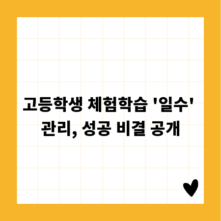 고등학생 체험학습 '일수' 관리, 성공 비결 공개