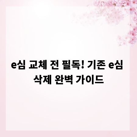 e심 교체 전 필독! 기존 e심 삭제 완벽 가이드
