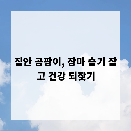 집안 곰팡이, 장마 습기 잡고 건강 되찾기