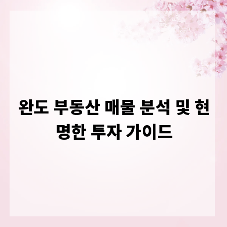 완도 부동산 매물 분석 및 현명한 투자 가이드