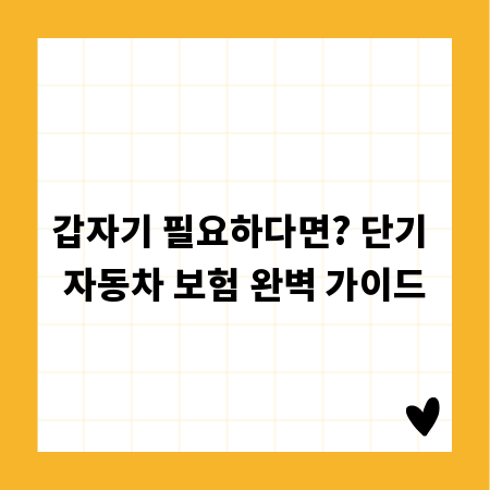 갑자기 필요하다면? 단기 자동차 보험 완벽 가이드