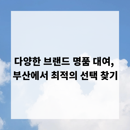 다양한 브랜드 명품 대여, 부산에서 최적의 선택 찾기