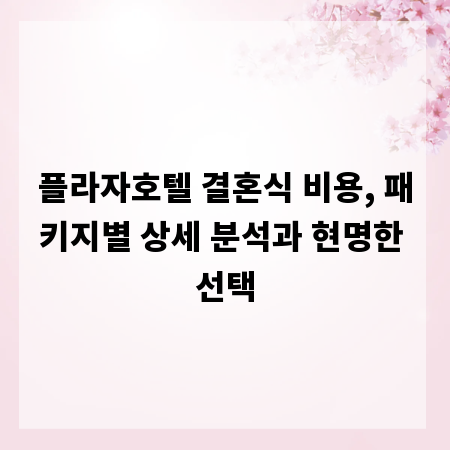 플라자호텔 결혼식 비용, 패키지별 상세 분석과 현명한 선택
