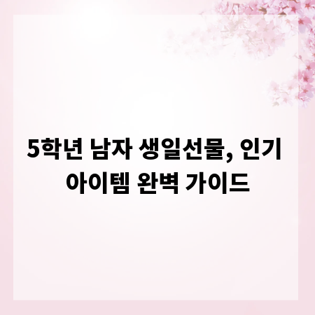 5학년 남자 생일선물, 인기 아이템 완벽 가이드