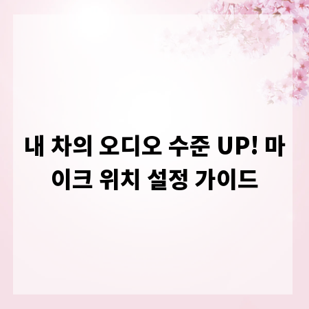내 차의 오디오 수준 UP! 마이크 위치 설정 가이드