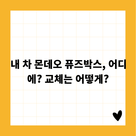 내 차 몬데오 퓨즈박스, 어디에? 교체는 어떻게?
