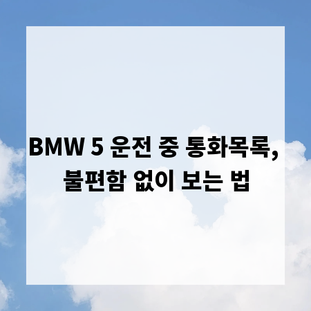 BMW 5 운전 중 통화목록, 불편함 없이 보는 법