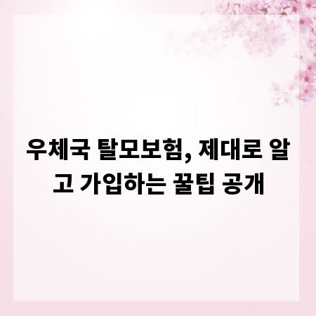 우체국 탈모보험, 제대로 알고 가입하는 꿀팁 공개