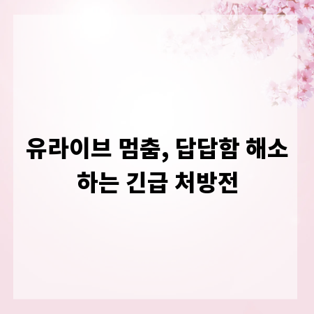 유라이브 멈춤, 답답함 해소하는 긴급 처방전