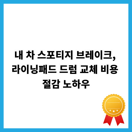 내 차 스포티지 브레이크, 라이닝패드 드럼 교체 비용 절감 노하우