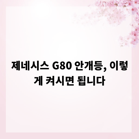 제네시스 G80 안개등, 이렇게 켜시면 됩니다