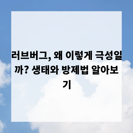러브버그, 왜 이렇게 극성일까? 생태와 방제법 알아보기