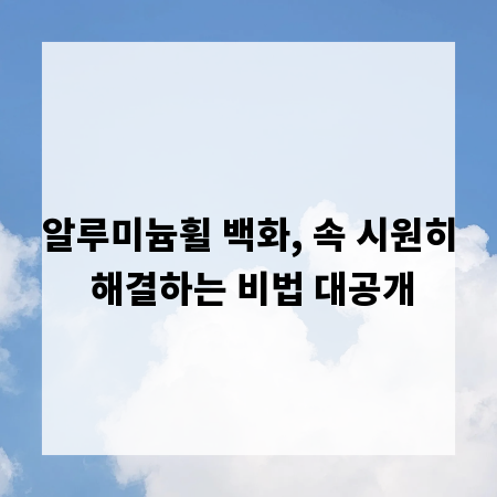 알루미늄휠 백화, 속 시원히 해결하는 비법 대공개