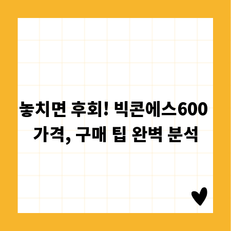 놓치면 후회! 빅콘에스600 가격, 구매 팁 완벽 분석
