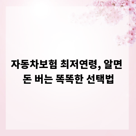 자동차보험 최저연령, 알면 돈 버는 똑똑한 선택법