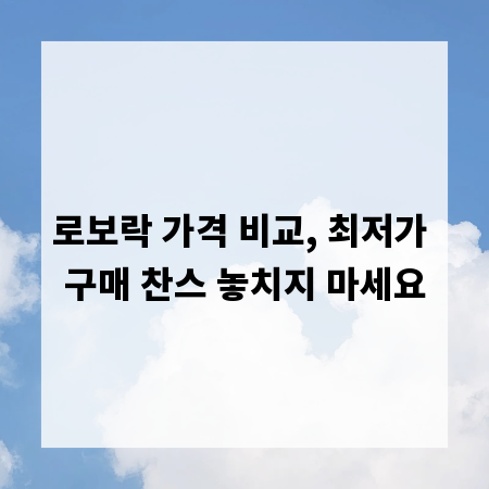 로보락 가격 비교, 최저가 구매 찬스 놓치지 마세요