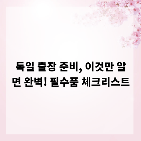 독일 출장 준비, 이것만 알면 완벽! 필수품 체크리스트