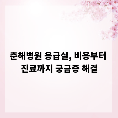 춘해병원 응급실, 비용부터 진료까지 궁금증 해결