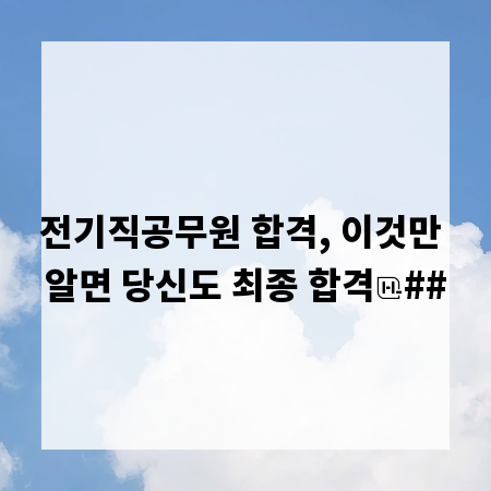전기직공무원 합격, 이것만 알면 당신도 최종 합격
##
