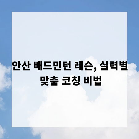 안산 배드민턴 레슨, 실력별 맞춤 코칭 비법