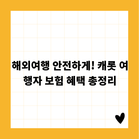 해외여행 안전하게! 캐롯 여행자 보험 혜택 총정리
