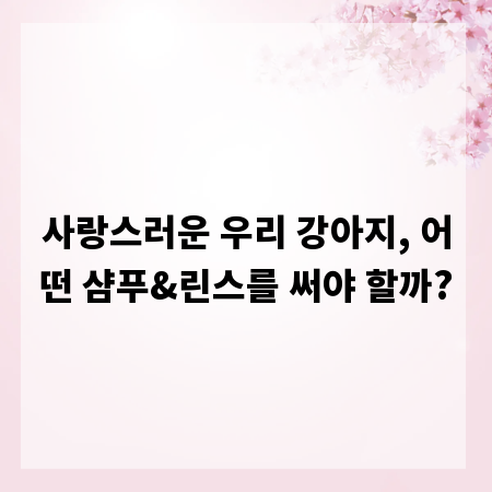 사랑스러운 우리 강아지, 어떤 샴푸&린스를 써야 할까?