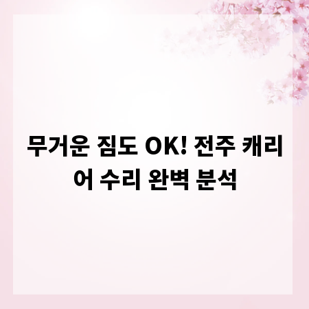 무거운 짐도 OK! 전주 캐리어 수리 완벽 분석