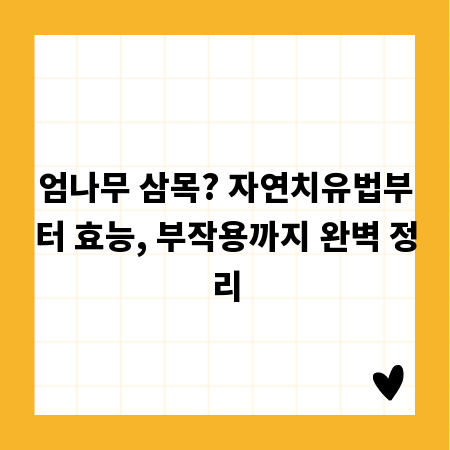 엄나무 삼목? 자연치유법부터 효능, 부작용까지 완벽 정리