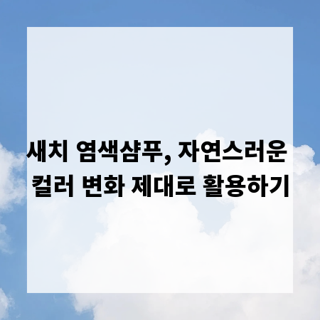 새치 염색샴푸, 자연스러운 컬러 변화 제대로 활용하기