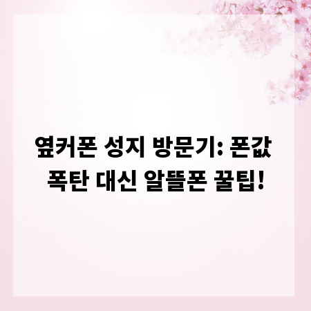옆커폰 성지 방문기: 폰값 폭탄 대신 알뜰폰 꿀팁!