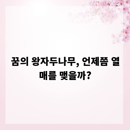 꿈의 왕자두나무, 언제쯤 열매를 맺을까?