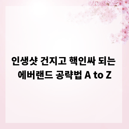 인생샷 건지고 핵인싸 되는 에버랜드 공략법 A to Z