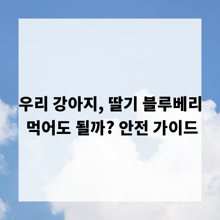우리 강아지, 딸기 블루베리 먹어도 될까? 안전 가이드