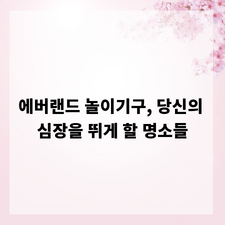에버랜드 놀이기구, 당신의 심장을 뛰게 할 명소들