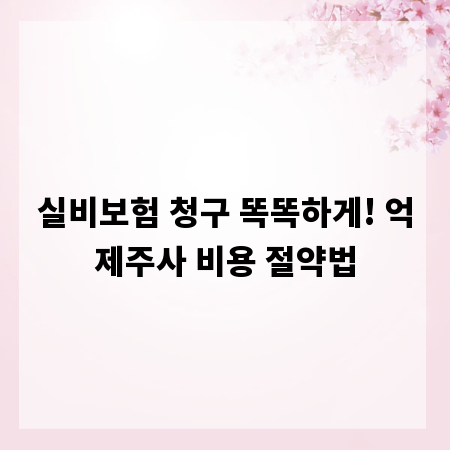 실비보험 청구 똑똑하게! 억제주사 비용 절약법