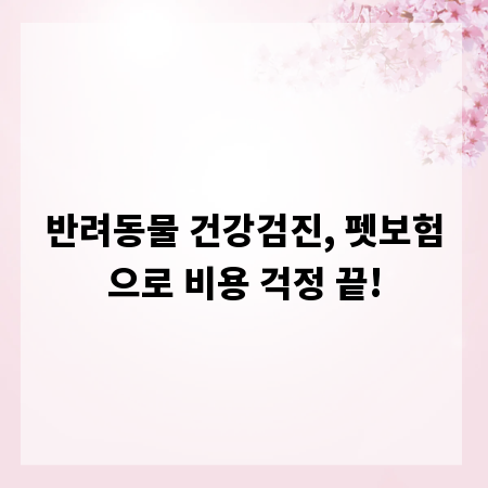 반려동물 건강검진, 펫보험으로 비용 걱정 끝!