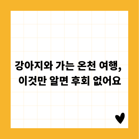 강아지와 가는 온천 여행, 이것만 알면 후회 없어요