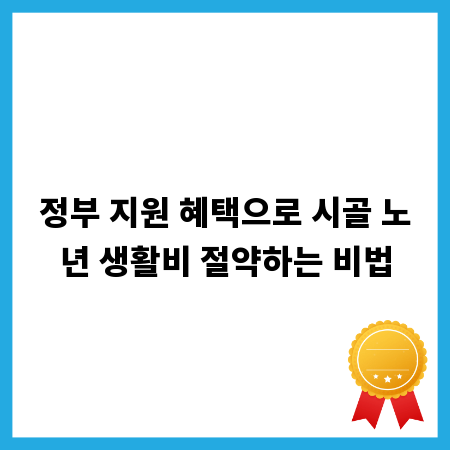 정부 지원 혜택으로 시골 노년 생활비 절약하는 비법