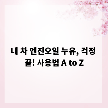 내 차 엔진오일 누유, 걱정 끝! 사용법 A to Z