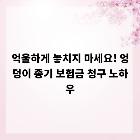 억울하게 놓치지 마세요! 엉덩이 종기 보험금 청구 노하우