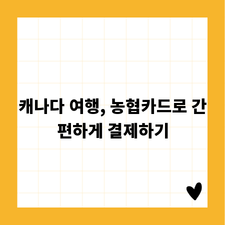 캐나다 여행, 농협카드로 간편하게 결제하기