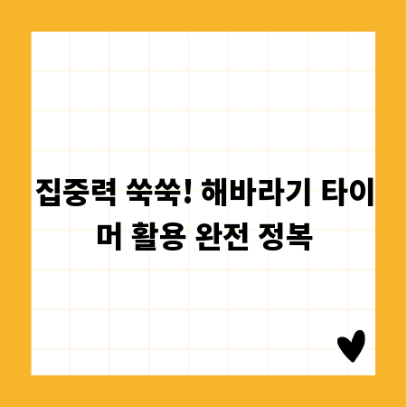 집중력 쑥쑥! 해바라기 타이머 활용 완전 정복