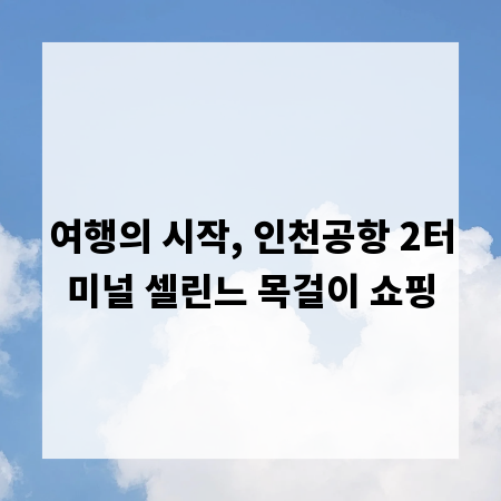 여행의 시작, 인천공항 2터미널 셀린느 목걸이 쇼핑
