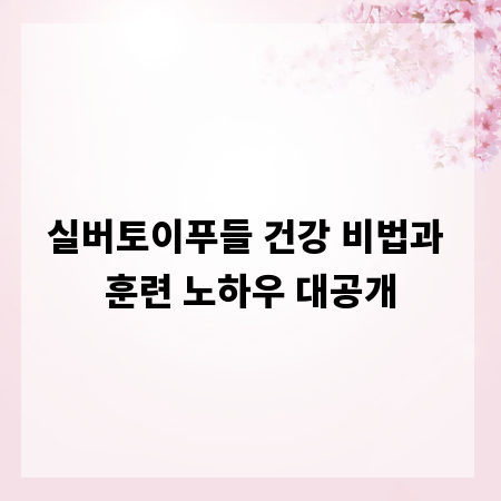 실버토이푸들 건강 비법과 훈련 노하우 대공개