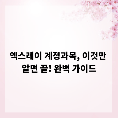 엑스레이 계정과목, 이것만 알면 끝! 완벽 가이드
