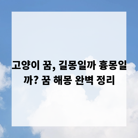 고양이 꿈, 길몽일까 흉몽일까? 꿈 해몽 완벽 정리