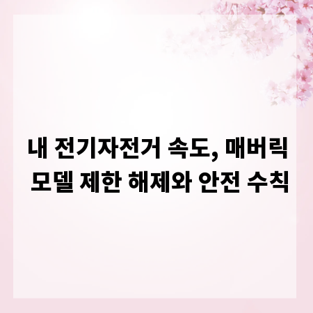 내 전기자전거 속도, 매버릭 모델 제한 해제와 안전 수칙